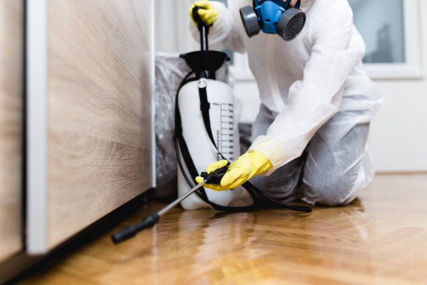 Best Best Pest Control Companies  in Niles, MI