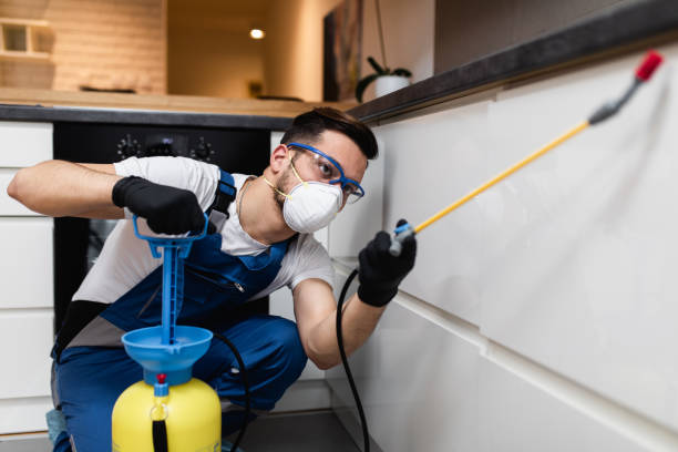 Best Residential Pest Control  in Niles, MI
