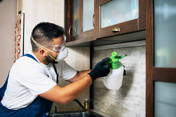 Best Pest Inspection Near Me  in Niles, MI