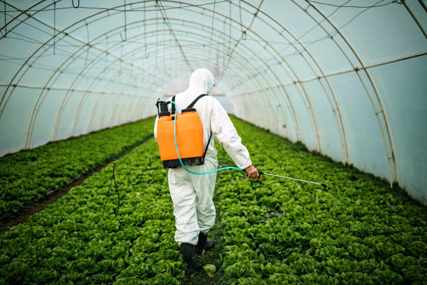 Best Pest Removal Services  in Niles, MI
