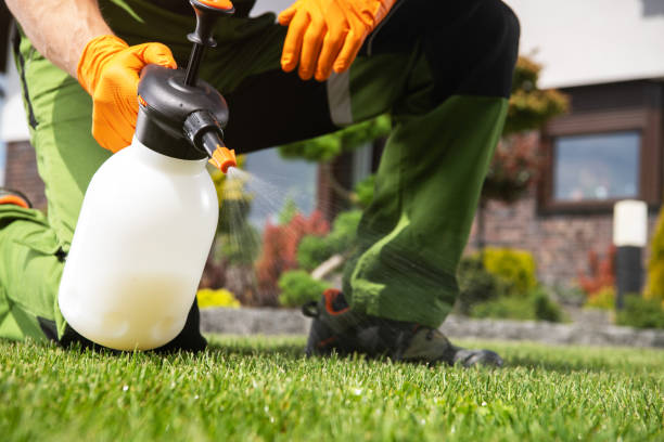 Best Mosquito Control Services  in Niles, MI