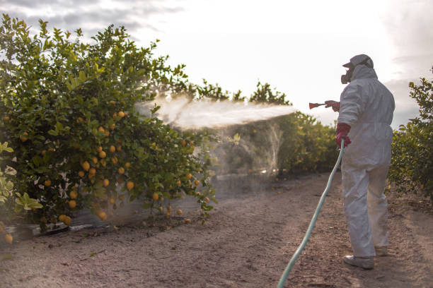 Best Pest Removal Services  in Niles, MI