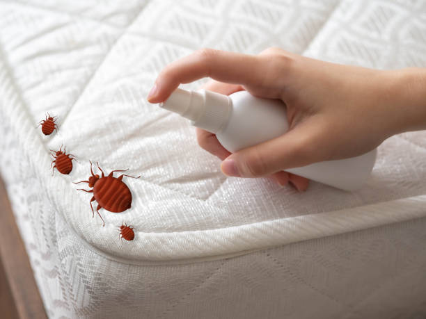 Best Ant Control Services  in Niles, MI