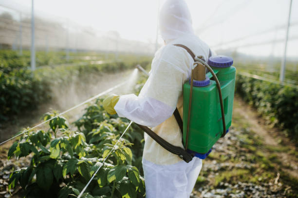 Best Pest Prevention Services  in Niles, MI